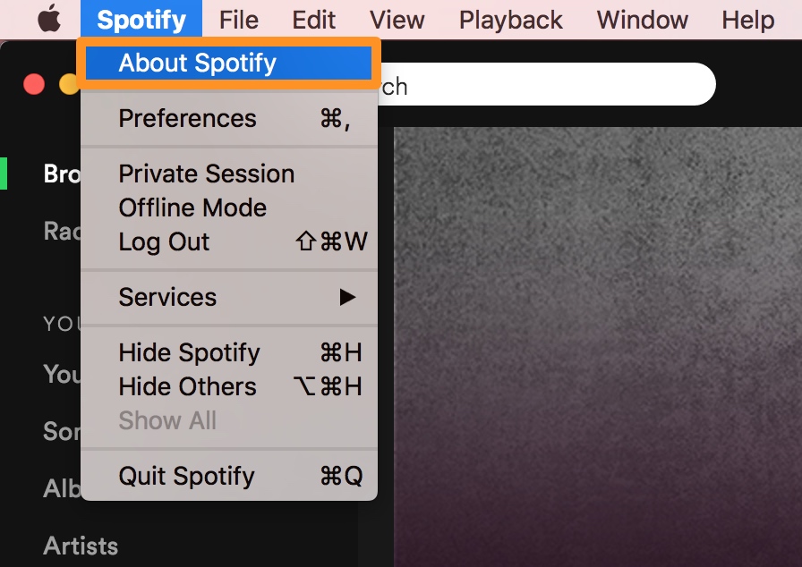 spotify check for updates mac